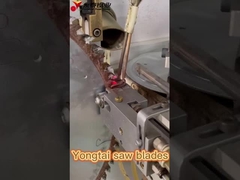 Fabriek van zaagbladen Foshan Yongtai TCT Circulaire zaagbladen Hout